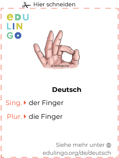 Finger auf Deutsch Vokabelkartei zum Ausdrucken, Üben und Lernen