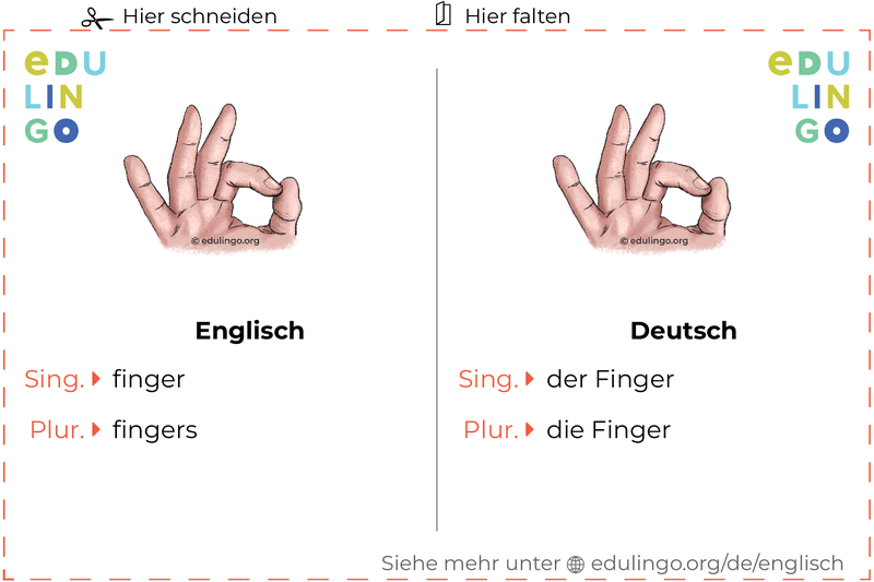 Finger auf Englisch Vokabelkartei zum Ausdrucken, Üben und Lernen