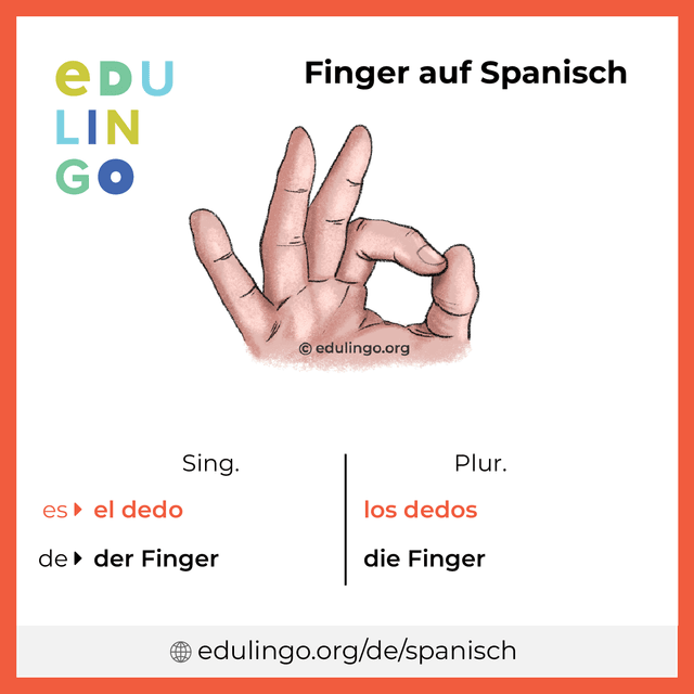 Finger auf Spanisch Vokabelbild mit Singular und Plural zum Herunterladen und Ausdrucken