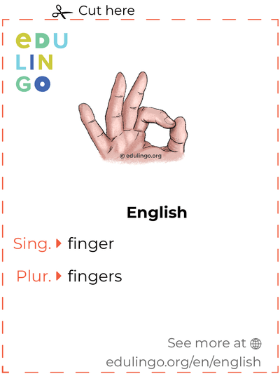 Finger in English vocabulary flashcard for printing, practicing and learning