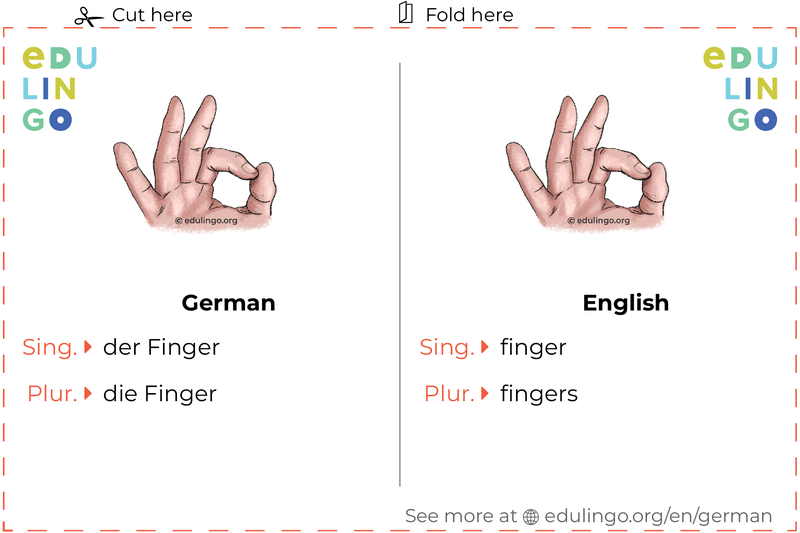 Finger in German vocabulary flashcard for printing, practicing and learning