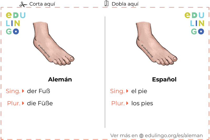 Ficha de Vocabulario Pie en alemán para imprimir, practicar y aprender