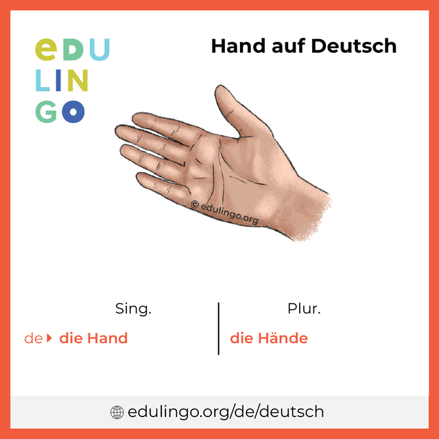 Hand auf Deutsch Vokabelbild mit Singular und Plural zum Herunterladen und Ausdrucken