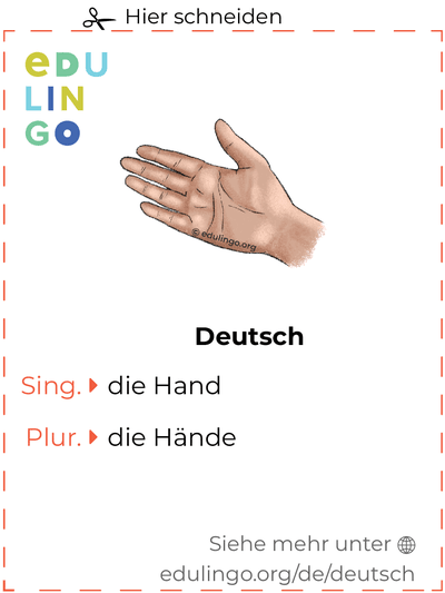 Hand auf Deutsch Vokabelkartei zum Ausdrucken, Üben und Lernen