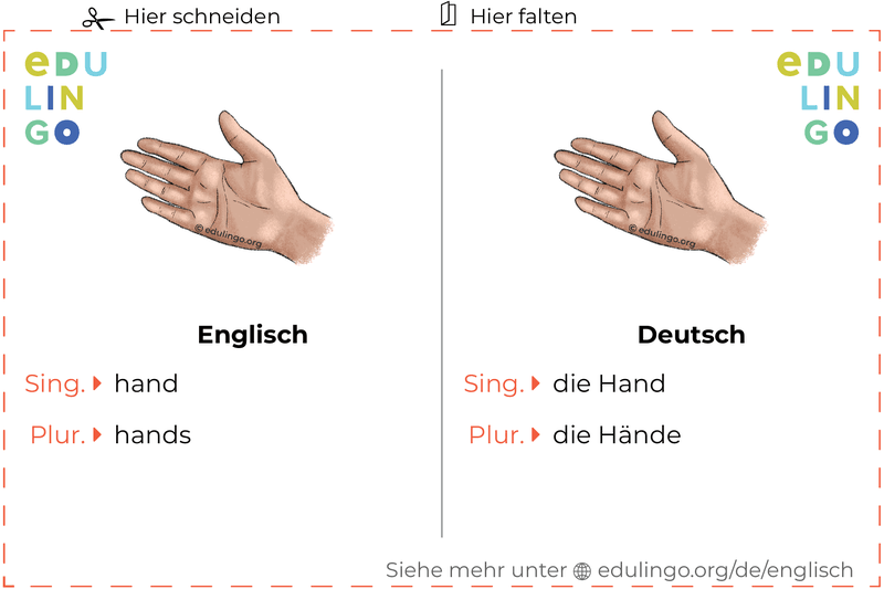 Hand auf Englisch Vokabelkartei zum Ausdrucken, Üben und Lernen