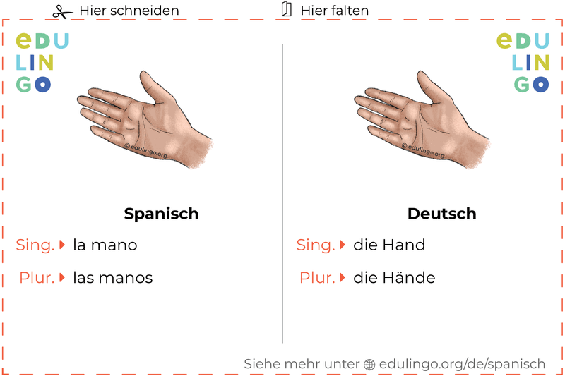 Hand auf Spanisch Vokabelkartei zum Ausdrucken, Üben und Lernen