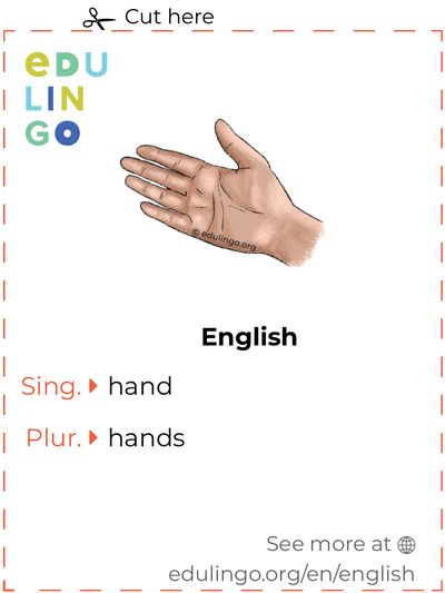 Hand in English vocabulary flashcard for printing, practicing and learning