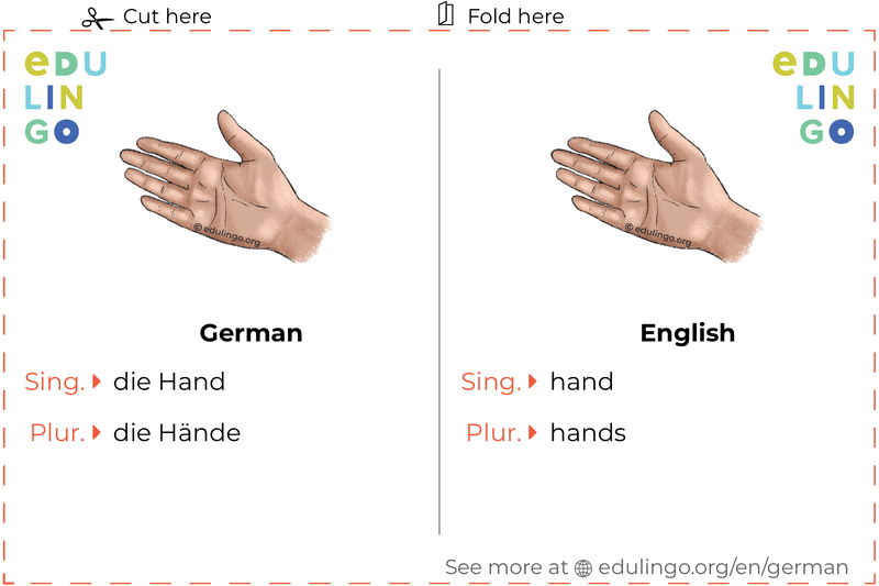 Hand in German vocabulary flashcard for printing, practicing and learning