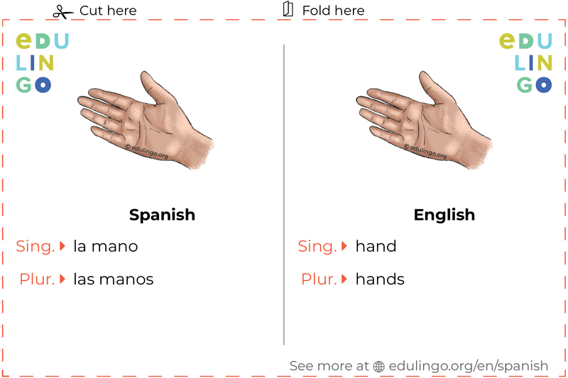 Hand in Spanish vocabulary flashcard for printing, practicing and learning