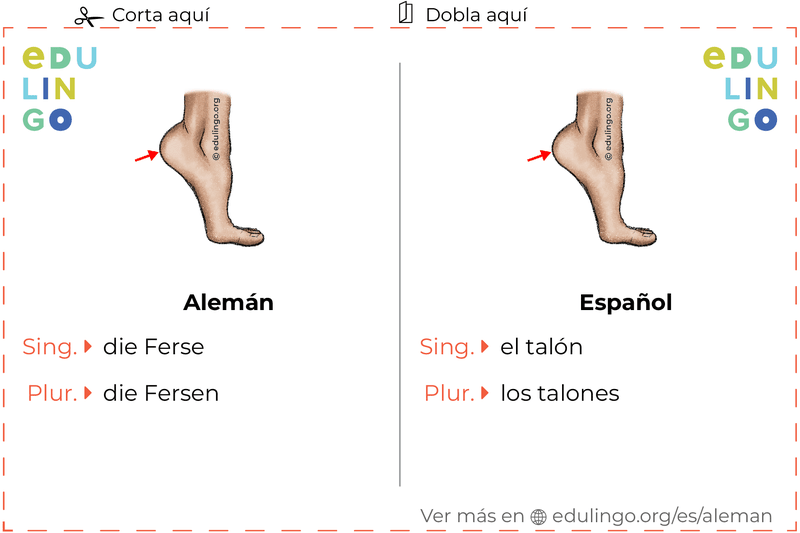 Ficha de Vocabulario Talón en alemán para imprimir, practicar y aprender
