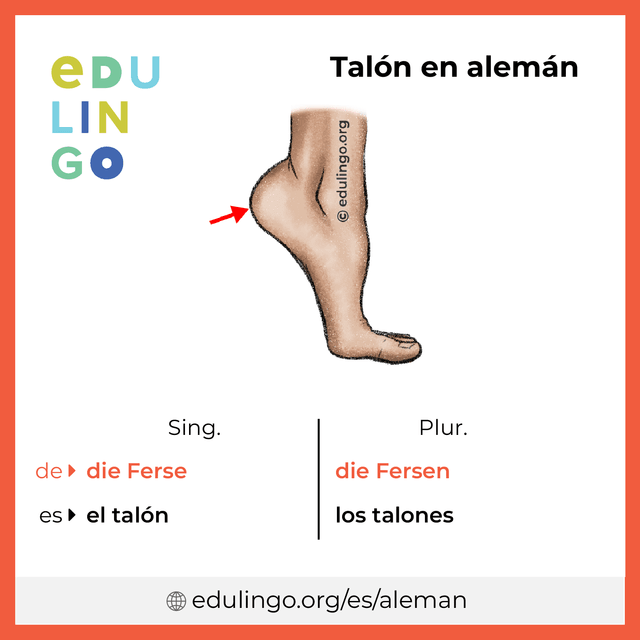 Imagen de vocabulario Talón en alemán con singular y plural para descargar e imprimir