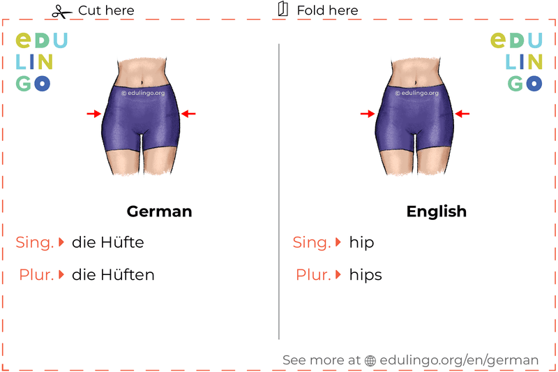 Hip in German vocabulary flashcard for printing, practicing and learning