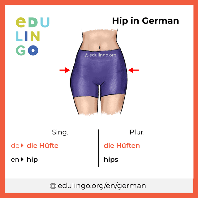 Hip in German vocabulary picture with singular and plural for download and printing