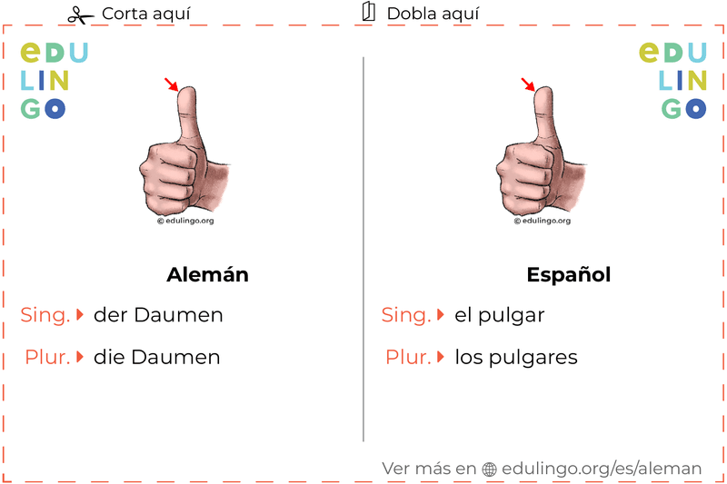 Ficha de Vocabulario Pulgar en alemán para imprimir, practicar y aprender