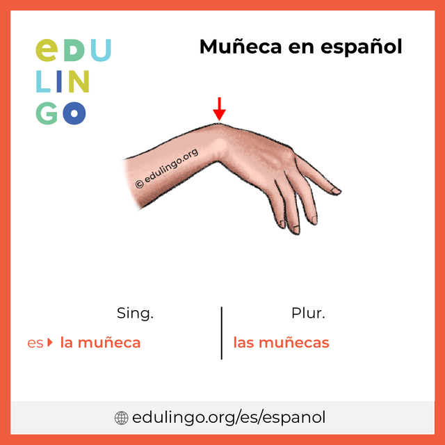 Imagen de vocabulario Muñeca en español con singular y plural para descargar e imprimir