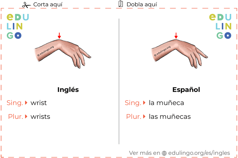 Ficha de Vocabulario Muñeca en inglés para imprimir, practicar y aprender