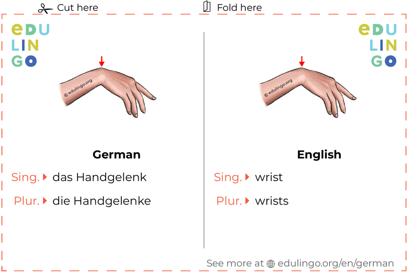 Wrist in German vocabulary flashcard for printing, practicing and learning