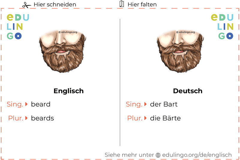 Bart auf Englisch Vokabelkartei zum Ausdrucken, Üben und Lernen