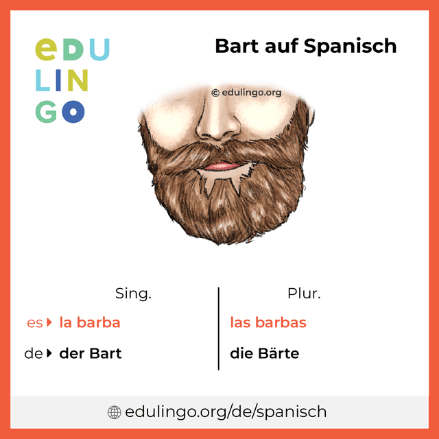 Bart auf Spanisch Vokabelbild mit Singular und Plural zum Herunterladen und Ausdrucken