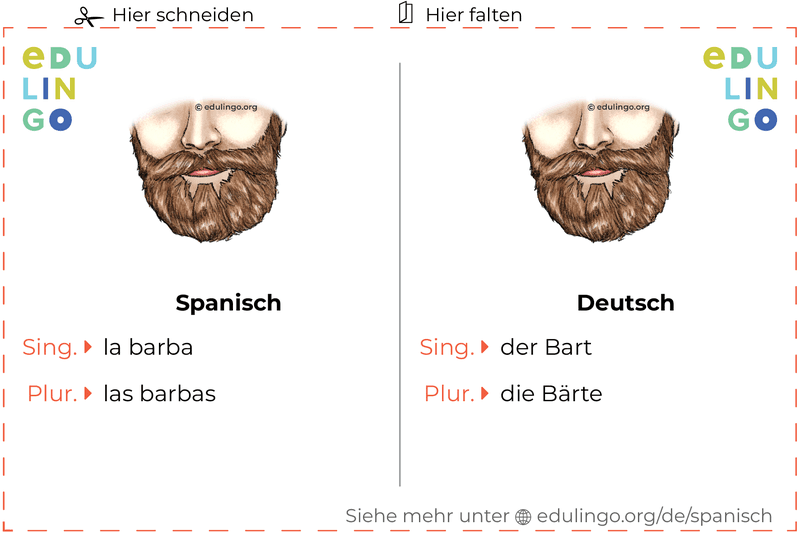 Bart auf Spanisch Vokabelkartei zum Ausdrucken, Üben und Lernen