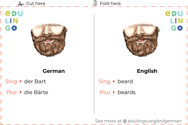 Beard in German vocabulary flashcard for printing, practicing and learning