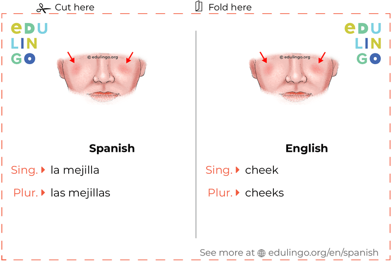 Cheek in Spanish vocabulary flashcard for printing, practicing and learning