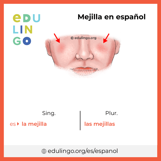 Imagen de vocabulario Mejilla en español con singular y plural para descargar e imprimir