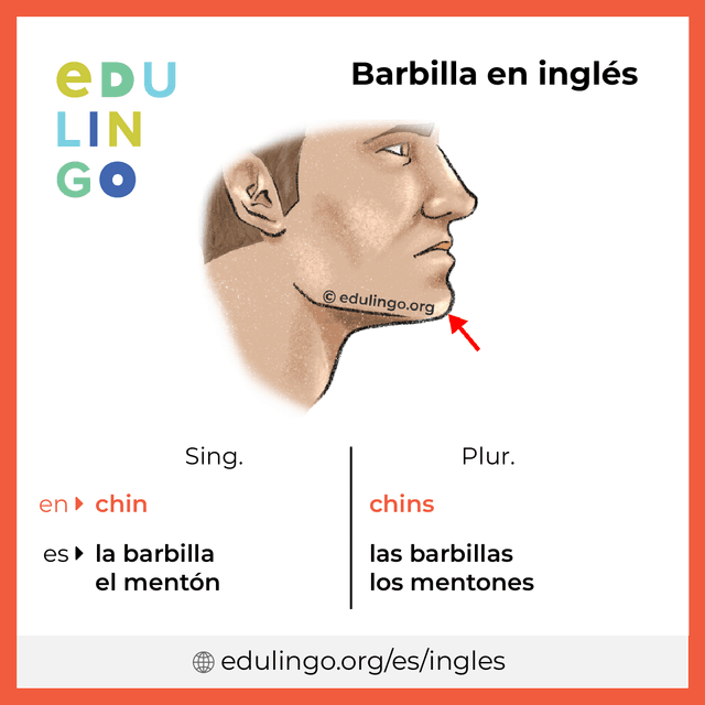 Imagen de vocabulario Barbilla en inglés con singular y plural para descargar e imprimir