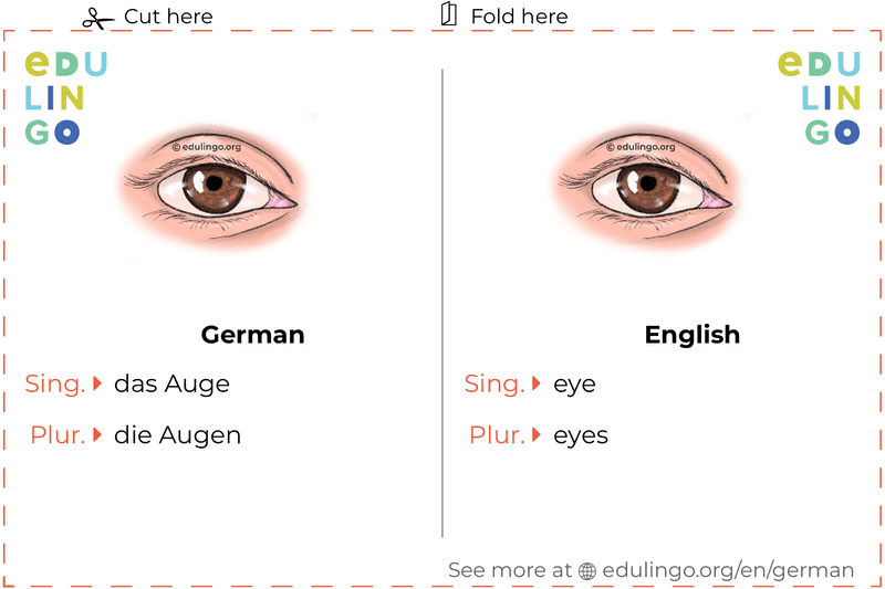 Eye in German vocabulary flashcard for printing, practicing and learning