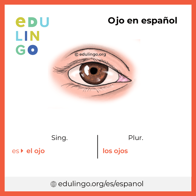 Imagen de vocabulario Ojo en español con singular y plural para descargar e imprimir