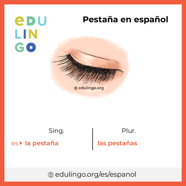 Imagen de vocabulario Pestaña en español con singular y plural para descargar e imprimir