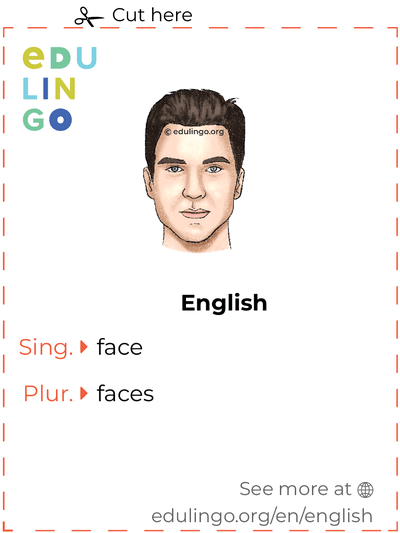 Face in English vocabulary flashcard for printing, practicing and learning