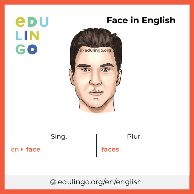 Face in English vocabulary picture with singular and plural for download and printing