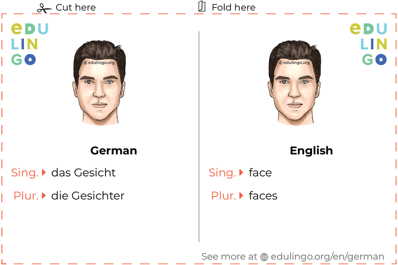 Face in German vocabulary flashcard for printing, practicing and learning