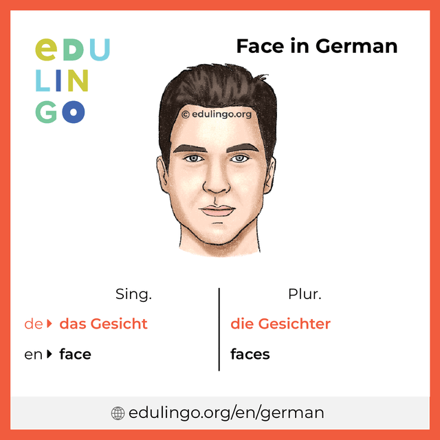 Face in German vocabulary picture with singular and plural for download and printing