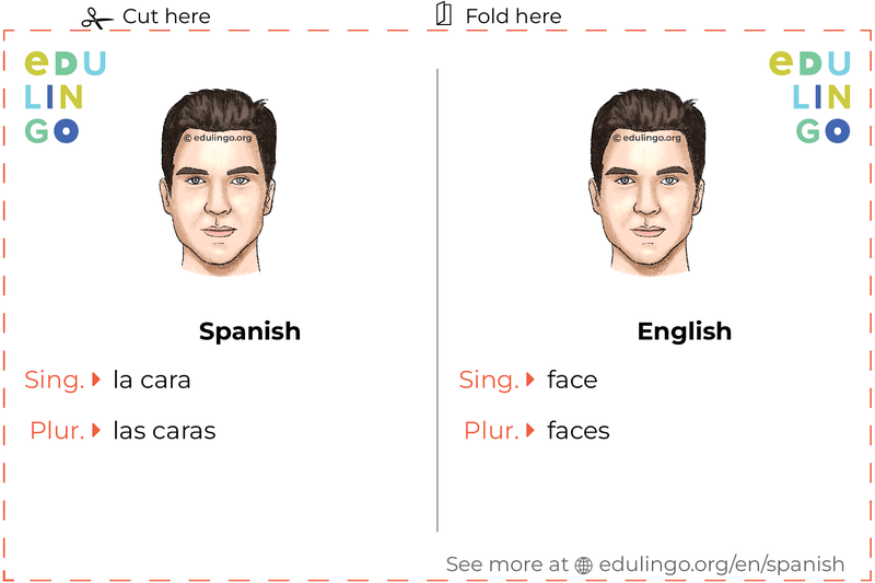 Face in Spanish vocabulary flashcard for printing, practicing and learning