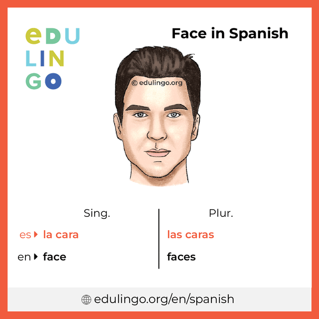 Face in Spanish vocabulary picture with singular and plural for download and printing