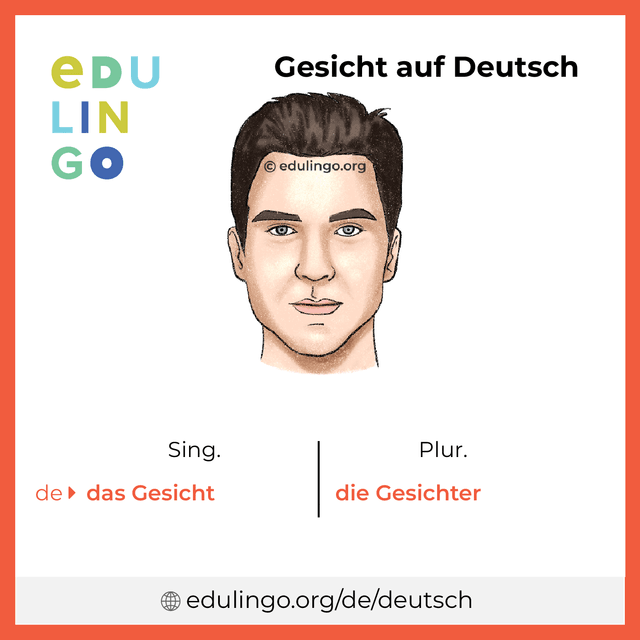 Gesicht auf Deutsch Vokabelbild mit Singular und Plural zum Herunterladen und Ausdrucken