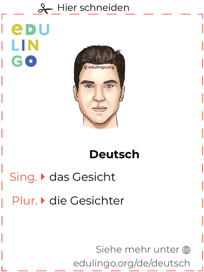 Gesicht auf Deutsch Vokabelkartei zum Ausdrucken, Üben und Lernen