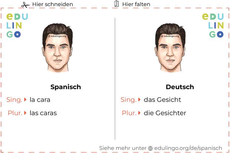 Gesicht auf Spanisch Vokabelkartei zum Ausdrucken, Üben und Lernen