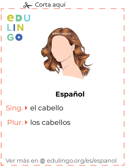 Ficha de Vocabulario Cabello en español para imprimir, practicar y aprender