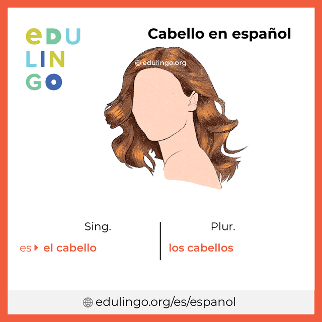 Imagen de vocabulario Cabello en español con singular y plural para descargar e imprimir