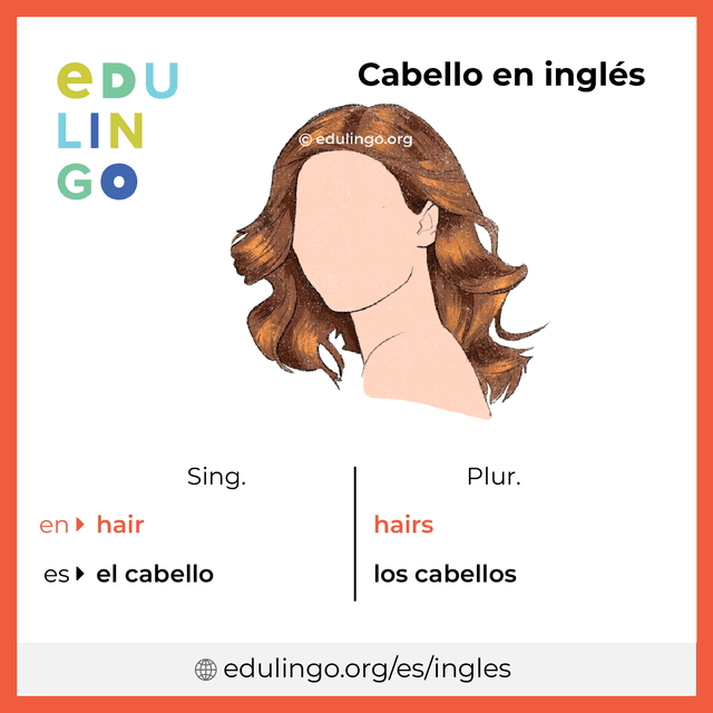 Imagen de vocabulario Cabello en inglés con singular y plural para descargar e imprimir