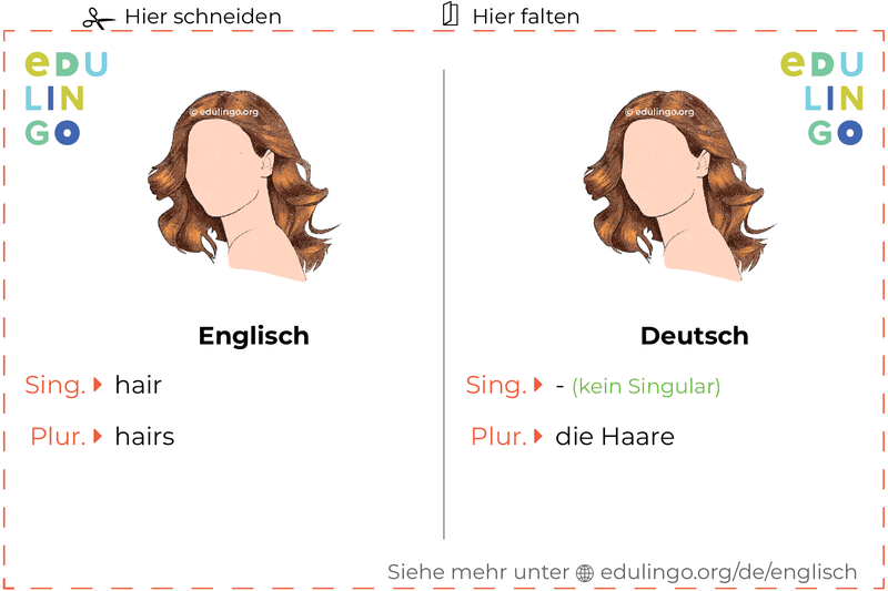 Haare auf Englisch Vokabelkartei zum Ausdrucken, Üben und Lernen