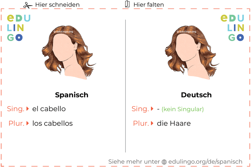 Haare auf Spanisch Vokabelkartei zum Ausdrucken, Üben und Lernen