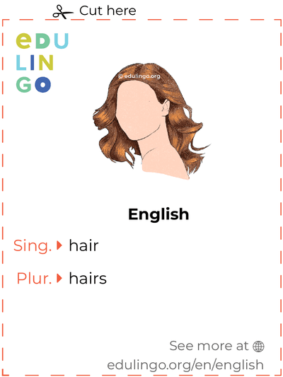 Hair in English vocabulary flashcard for printing, practicing and learning