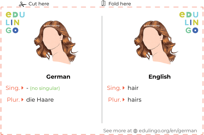 Hair in German vocabulary flashcard for printing, practicing and learning