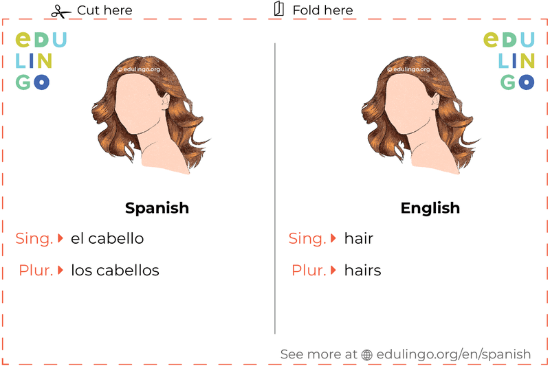 Hair in Spanish vocabulary flashcard for printing, practicing and learning