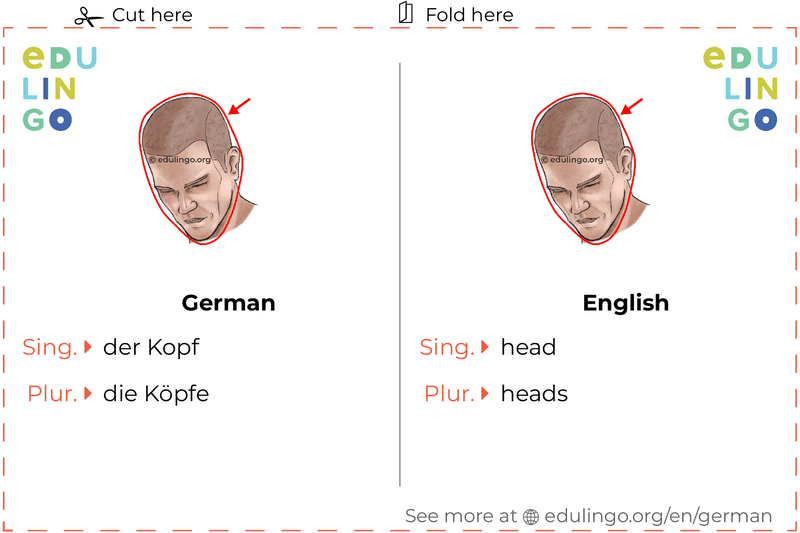 Head in German vocabulary flashcard for printing, practicing and learning