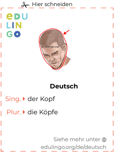 Kopf auf Deutsch Vokabelkartei zum Ausdrucken, Üben und Lernen